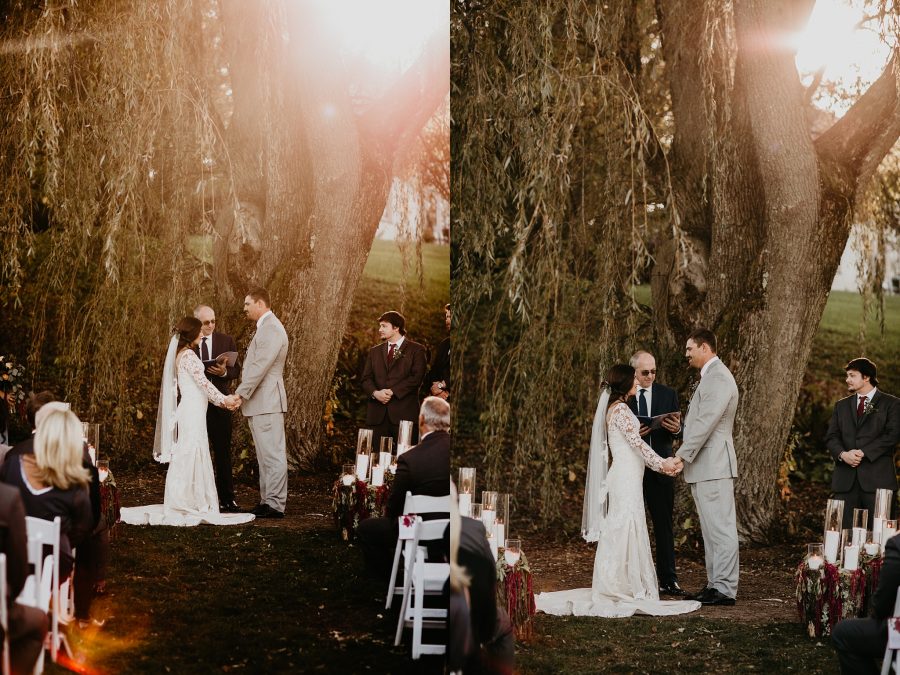 Wedding Photos under a willow tree