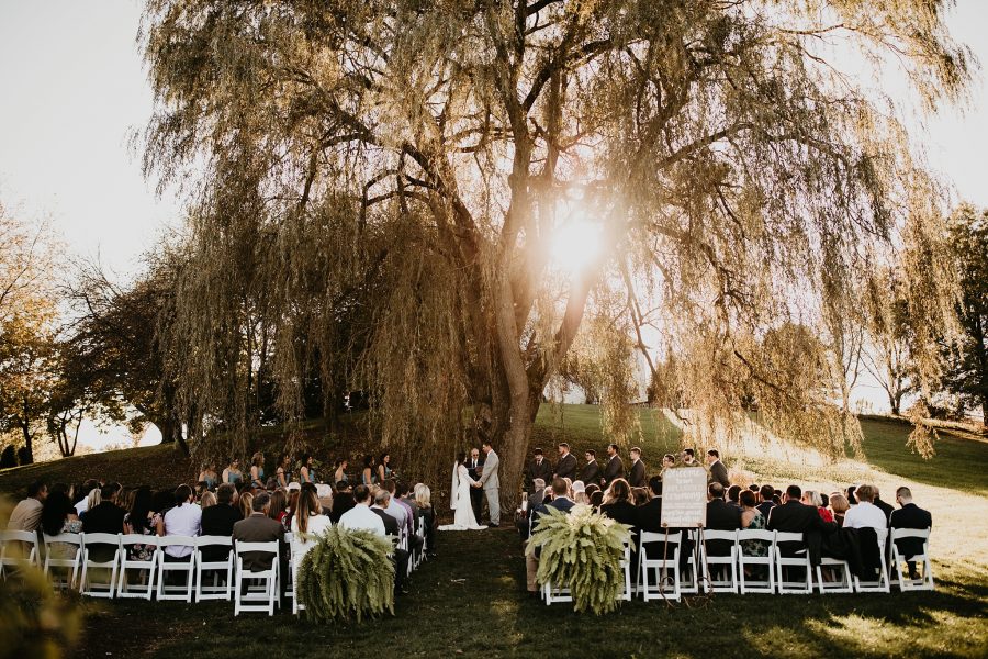 Wedding Photos under a willow tree