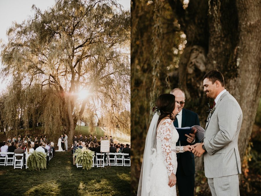 Wedding Photos under a willow tree