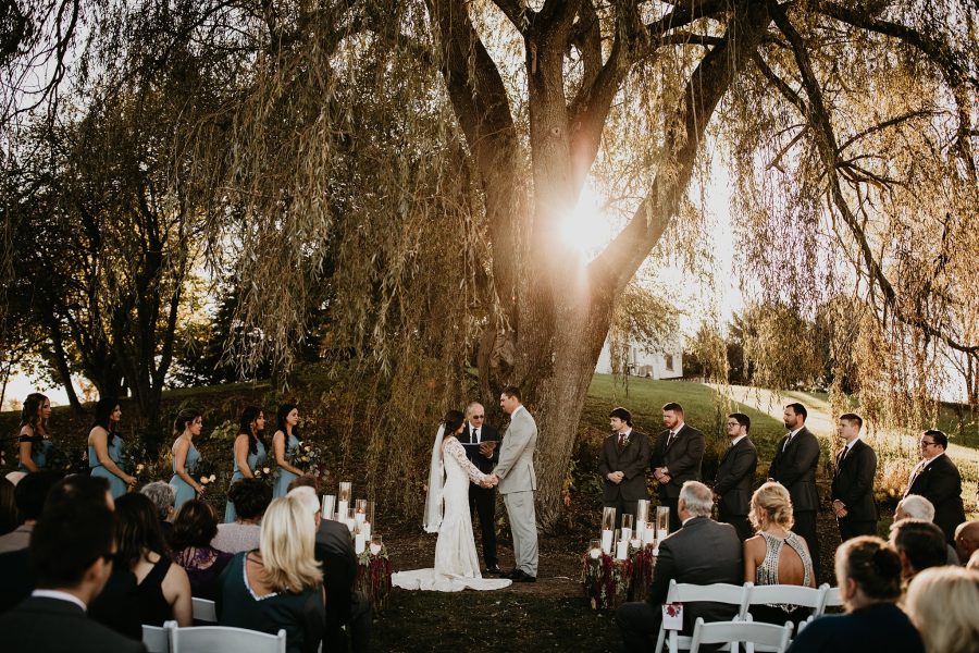 Wedding Photos under a willow tree