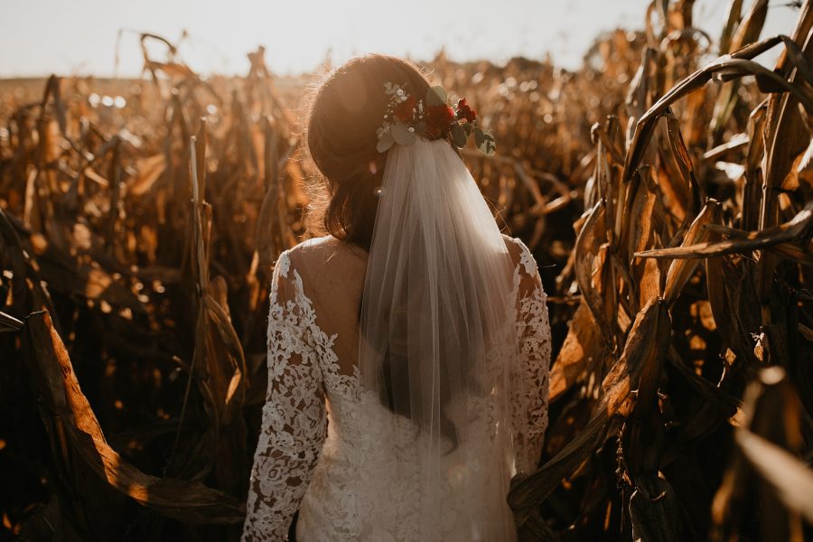 Rustic Acres Farm golden hour photos Pittsburgh Pennsylvania